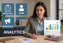 Business Insight Shopnaclo